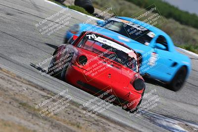 media/May-05-2024-PCA Golden Gate (Sun) [[e78a73752d]]/Club Race/Off Ramp/